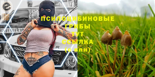 не бодяженный Белокуриха